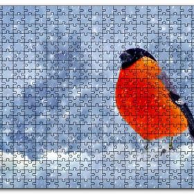 Cakapuzzle Karlar İçinde Şakrakkuşu Mdf 1000 Parça Puzzle