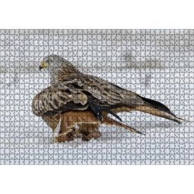 Cakapuzzle Karlar Üzerindeki Kartal ve Pençelerindeki Avı Mdf 1000 Parça Puzzle