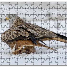 Cakapuzzle Karlar Üzerindeki Kartal ve Pençelerindeki Avı Mdf 255 Parça Puzzle