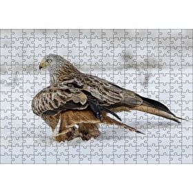 Cakapuzzle Karlar Üzerindeki Kartal ve Pençelerindeki Avı Mdf 255 Parça Puzzle