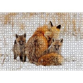 Cakapuzzle Karlar Üzerindeki Kızıl Tilki ve Yavruları 120 Parça Ahşap Puzzle