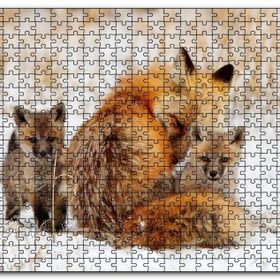 Cakapuzzle Karlar Üzerindeki Kızıl Tilki ve Yavruları Mdf 120 Parça Puzzle