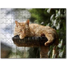 Cakapuzzle Karlı Dağlar ve Altın Rengi Zirve 1000 Parça Puzzle
