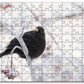 Cakapuzzle Karlı Dalların Üzerindeki Karatavuk Mdf 255 Parça Puzzle