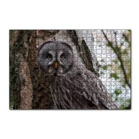 Cakapuzzle Karlı Ormanda Ağacın Önündeki Baykuş 120 Parça Ahşap Puzzle