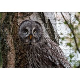 Cakapuzzle Karlı Ormanda Ağacın Önündeki Baykuş 120 Parça Ahşap Puzzle