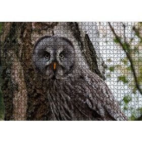 Cakapuzzle Karlı Ormanda Ağacın Önündeki Baykuş 120 Parça Ahşap Puzzle