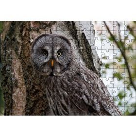 Cakapuzzle Karlı Ormanda Ağacın Önündeki Baykuş 120 Parça Ahşap Puzzle