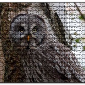 Cakapuzzle Karlı Ormanda Ağacın Önündeki Baykuş Mdf 120 Parça Puzzle
