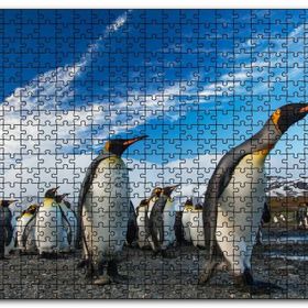 Cakapuzzle Karlı Topraklar ve Penguenler Mdf 1000 Parça Puzzle