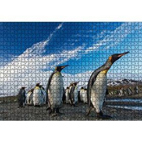 Cakapuzzle Karlı Topraklar ve Penguenler Mdf 1000 Parça Puzzle