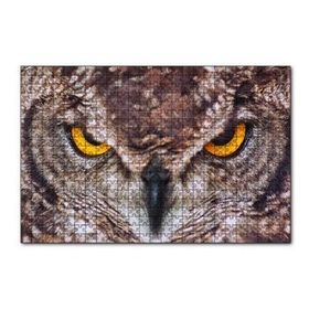 Cakapuzzle Kartal Baykuş 120 Puzzle