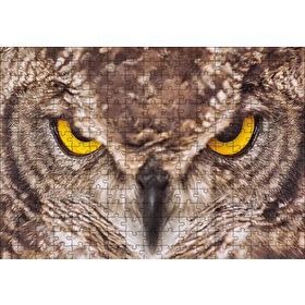 Cakapuzzle Kartal Baykuş 255 Parça Puzzle