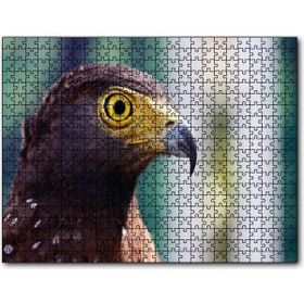 Cakapuzzle Kartal Yakın Plan 1000 Parça Puzzle
