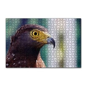 Cakapuzzle Kartal Yakın Plan 255 Parça Puzzle