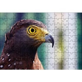 Cakapuzzle Kartal Yakın Plan Mdf 120 Parça Puzzle
