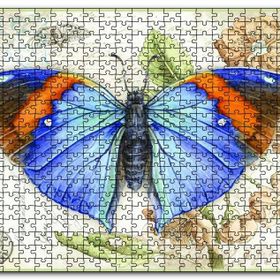 Cakapuzzle Kartpostal Üstünde Mavi Kelebek Mdf 120 Parça Puzzle