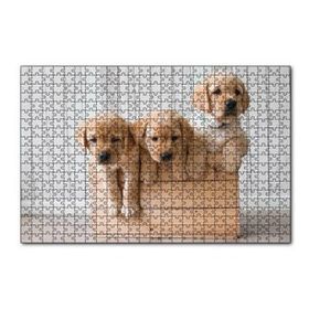 Cakapuzzle Kasada Golden Yavruları 255 Parça Puzzle