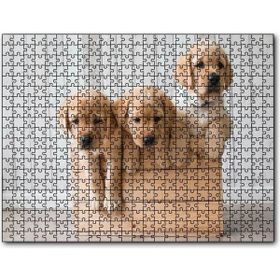 Cakapuzzle Kasada Golden Yavruları 255 Parça Puzzle