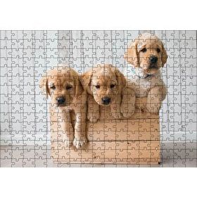 Cakapuzzle Kasada Golden Yavruları 255 Parça Puzzle