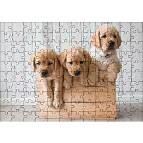 Cakapuzzle Kasada Golden Yavruları Mdf 120 Parça Puzzle