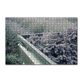 Cakapuzzle Kasada Lavantalar 255 Parça Puzzle