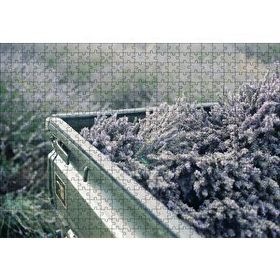 Cakapuzzle Kasada Lavantalar 255 Parça Puzzle