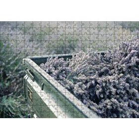 Cakapuzzle Kasada Lavantalar 255 Parça Puzzle