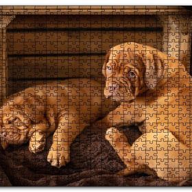 Cakapuzzle Kasadaki Kahverengi Boxer Yavruları Mdf 1000 Parça Puzzle