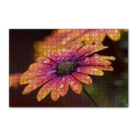 Cakapuzzle Kasımpatı ve Yağmur Damlaları Yakın Plan 120 Parça Ahşap Puzzle