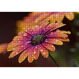 Cakapuzzle Kasımpatı ve Yağmur Damlaları Yakın Plan 120 Parça Ahşap Puzzle