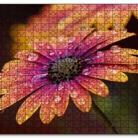 Cakapuzzle Kasımpatı ve Yağmur Damlaları Yakın Plan Mdf 120 Parça Puzzle