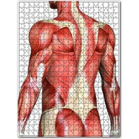 Cakapuzzle Kaslı Bir Adam 500 Parça Puzzle