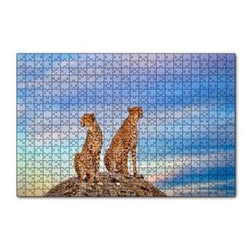 Cakapuzzle Kayalığın Üzerindeki Çita Çifti 255 Parça Puzzle