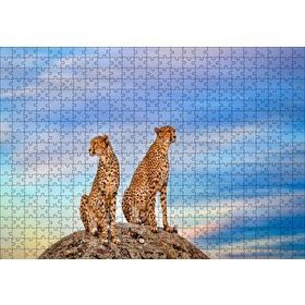 Cakapuzzle Kayalığın Üzerindeki Çita Çifti 255 Parça Puzzle