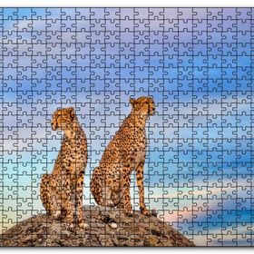 Cakapuzzle Kayalığın Üzerindeki Çita Çifti Mdf 1000 Parça Puzzle