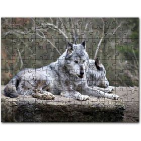 Cakapuzzle Kayalık Üzerinde Dinlenen Gri Kurt Çifti Mdf 500 Parça Puzzle