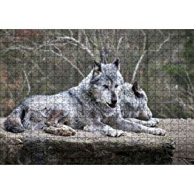 Cakapuzzle Kayalık Üzerinde Dinlenen Gri Kurt Çifti Mdf 500 Parça Puzzle