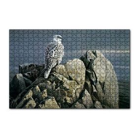 Cakapuzzle Kayalıklar Üzerindeki Akdoğan ve Deniz 255 Parça Puzzle