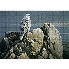 Cakapuzzle Kayalıklar Üzerindeki Akdoğan ve Deniz 255 Parça Puzzle