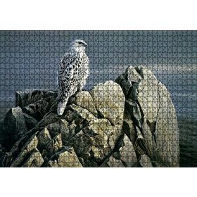 Cakapuzzle Kayalıklar Üzerindeki Akdoğan ve Deniz Mdf 1000 Parça Puzzle