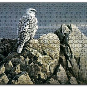 Cakapuzzle Kayalıklar Üzerindeki Akdoğan ve Deniz Mdf 500 Parça Puzzle