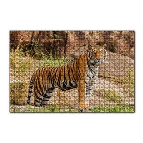 Cakapuzzle Kayalıklar ve Bengal Kaplanı 120 Parça Ahşap Puzzle
