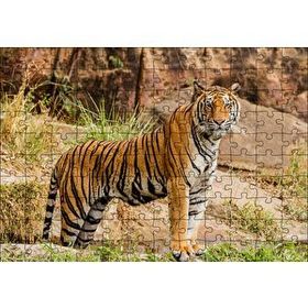 Cakapuzzle Kayalıklar ve Bengal Kaplanı 120 Parça Ahşap Puzzle