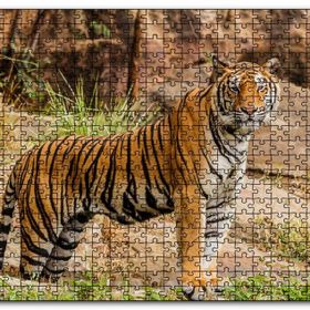 Cakapuzzle Kayalıklar ve Bengal Kaplanı Mdf 500 Parça Puzzle