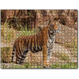 Cakapuzzle Kayalıklar ve Bengal Kaplanı Mdf 500 Parça Puzzle