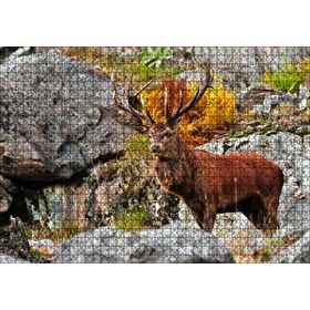 Cakapuzzle Kayalıklar ve Boynuzlu Kahverengi Geyik 255 Parça Puzzle