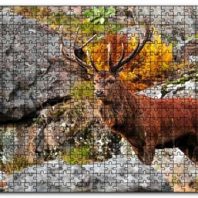 Cakapuzzle Kayalıklar ve Boynuzlu Kahverengi Geyik Mdf 1000 Parça Puzzle