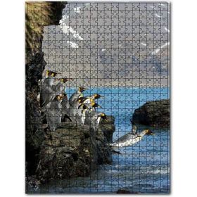 Cakapuzzle Kayalıktan Suya Atlayan Penguenler Ahşap 1000 Parça Puzzle