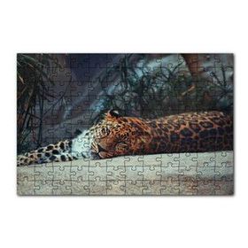 Cakapuzzle Kayanın Üzerinde Dinlenen Uykulu Jaguar 120 Parça Ahşap Puzzle